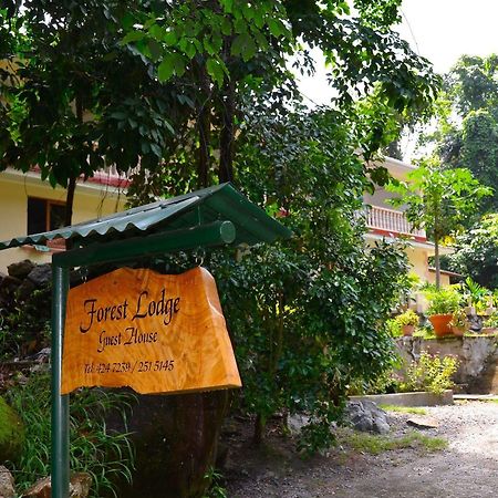 Forest Lodge Bel Ombre Bagian luar foto